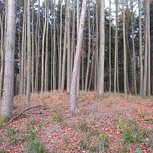 VěrkaN na vrcholu Zadní Výhledy V vrchol (29.10.2022 17:19)