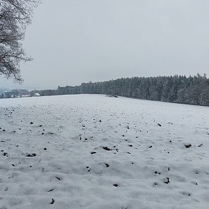 Cyklista 73 na vrcholu Kotova hora (19.12.2022 13:37)