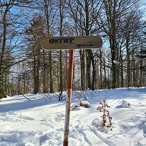 Katka na vrcholu Ostrý (21.2.2021 11:28)