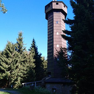 buko1 na vrcholu Čarták (18.8.2019 16:50)