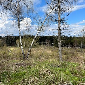 Radka D na vrcholu Písařov (29.4.2023 14:36)