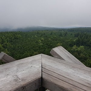 Dobros na vrcholu Velká Deštná (2.8.2024 11:24)