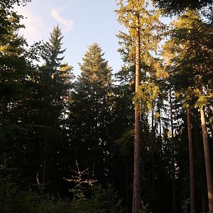 Bouřka na vrcholu Nad Lipoltovem (27.9.2023 18:00)