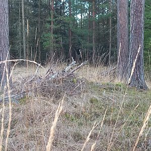 VěrkaN na vrcholu Na Hrbech (7.1.2023 14:28)