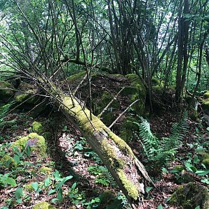 Anežka Boříková na vrcholu Nad Třešňovicemi - S vrchol (19.5.2024 13:27)