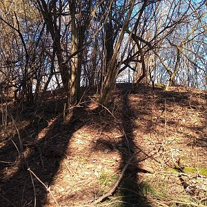 VěrkaN na vrcholu Nad Kalištěm - JZ vrchol (4.3.2023 11:43)