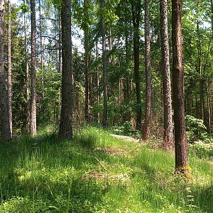 VěrkaN na vrcholu Nad Úvratí - SV vrchol (28.5.2023 12:53)