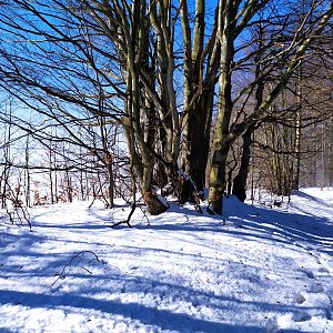 ŠenovKK na vrcholu Komorovský Grúň (20.2.2021 11:35)