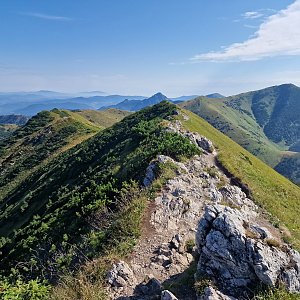 Rastislav Biarinec na vrcholu Horná veža Malého Kriváňa (21.8.2023 9:44)