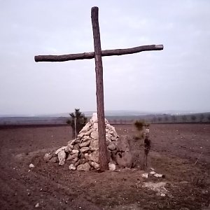 Jiřina na vrcholu Staré vinohrady (28.2.2023 17:51)