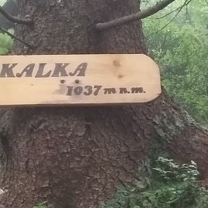 Arni na vrcholu Skalka (na Pustevnách) (23.7.2019 14:35)