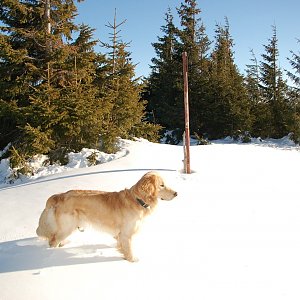 Rastislav Biarinec na vrcholu Šiprúň  (23.12.2007 13:20)