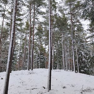 HaKalík na vrcholu Loketský vrch JJZ (11.3.2023 9:50)