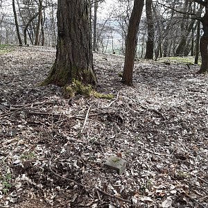 ZdenkaV na vrcholu Na Hřebenu (18.3.2023 13:04)