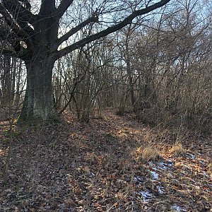 Anežka Boříková na vrcholu Nad Vápenkou (30.1.2024 14:37)