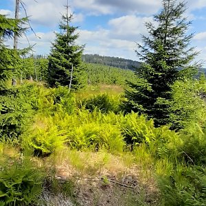 Jozef Farkaš na vrcholu Siebensteinkopf (29.7.2024 10:20)