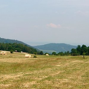 Nojby na vrcholu Nad Sklárnou (20.6.2023 15:16)