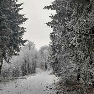 ZdenkaV na vrcholu Mjaší - S vrchol (13.1.2022 11:45)