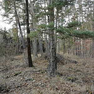 Vladimír Grančay na vrcholu Nad Novou Vsí (19.12.2023 13:23)