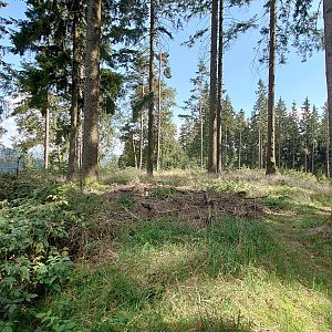 Nojby na vrcholu Lämpelberg (11.9.2023 14:53)