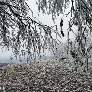 Zdena Trommler na vrcholu Červený kámen V (13.11.2024 15:35)