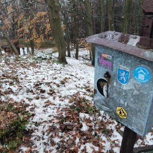 Zdena Trommler na vrcholu Červený kámen V (14.11.2024 15:35)