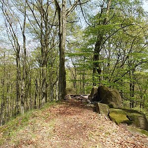 Nojby na vrcholu Na Skalách (4.5.2023 12:27)