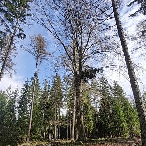 Martin Suchopár na vrcholu Svár SV (16.4.2023 10:40)