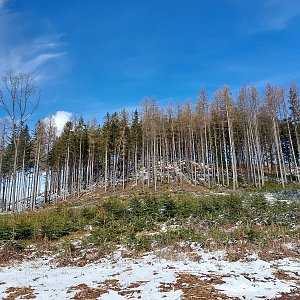 Bohumír Michal na vrcholu Vlčina (12.3.2023 11:53)