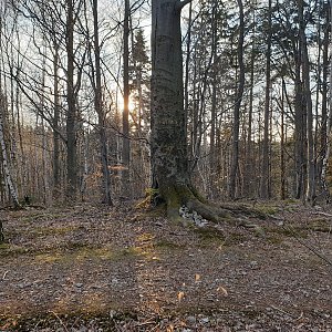 Petr Pepe Peloušek na vrcholu Vlčina (27.4.2021 18:59)