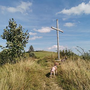 Šárka na vrcholu Žiarec (18.9.2023 12:43)