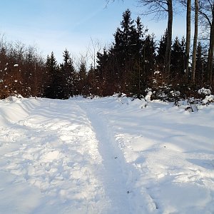 ZdenkaV na vrcholu Rybníčky (1.2.2021)