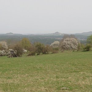 Nojby na vrcholu Zimní stráň (8.4.2024 13:50)