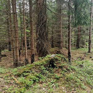 Šárka na vrcholu Stříška (8.5.2024 11:33)