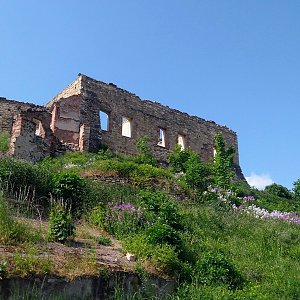 Torr na vrcholu Libčeveský vrch (26.5.2023 7:20)