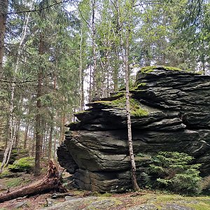 Šárka na vrcholu Tři kameny - SZ vrchol (9.7.2024 11:24)