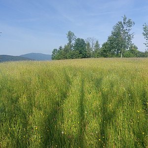 Cyklista 73 na vrcholu Steinbügel (2.6.2023 9:31)