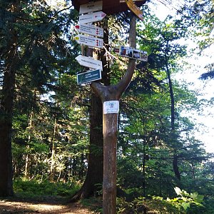 buko1 na vrcholu Trojačka (18.8.2019 16:28)