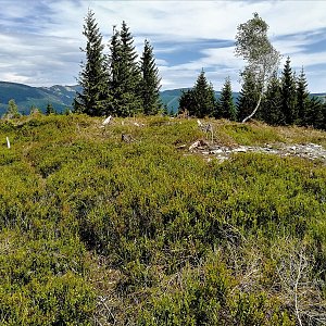 Vladimír Grančay na vrcholu Mechovinec (6.7.2019 13:57)