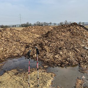 Radka D na vrcholu Dětřichovice (1.3.2024 11:10)