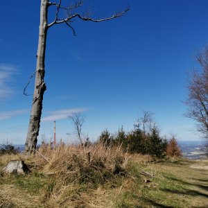 Šárka na vrcholu Kyčera (29.3.2024 12:00)