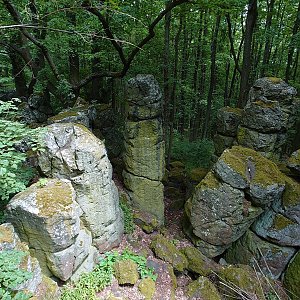 Nojby na vrcholu Orlík (20.6.2023 13:03)