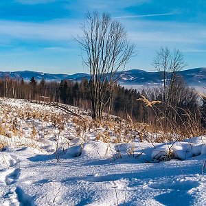 Jiřka Niedobová na vrcholu Holý vrch (1.2.2021 14:08)