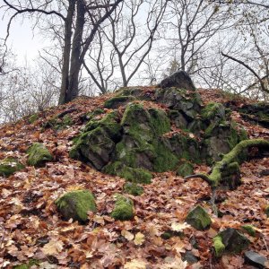 Nojby na vrcholu Táhlina - JV vrchol I (14.11.2024 10:42)