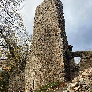 Mertelici na tripu na vrcholu Rabštejnek (19.11.2023 13:40)