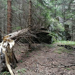 Vladimír Grančay na vrcholu Osikový vrch (5.8.2019 10:11)