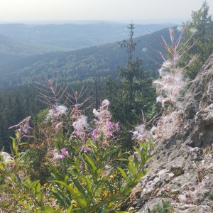 Honza Krňa na vrcholu Bílé Kameny (27.8.2024 10:36)