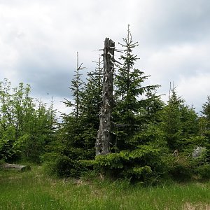 ZdenkaV na vrcholu Großer Arber - J (29.5.2024 13:27)