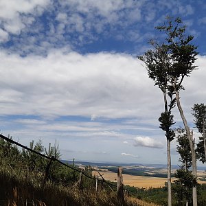 Valča na vrcholu Na Pahrbu (31.7.2023 10:27)