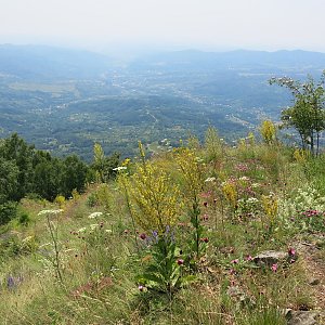 ZdenkaV na vrcholu Albina (12.7.2023)